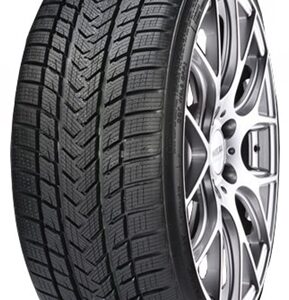 Gripmax - Pro Winter - 255/30R20
